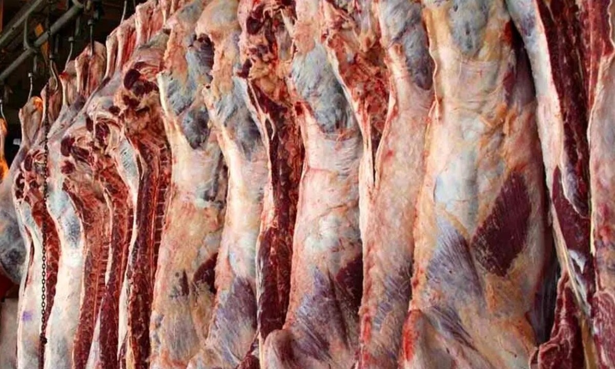 آغاز توزیع گوشت قرمز دولتی از این تاریخ / گوشت گرم قرمز ۶۰۰ هزارتومانی در راه است