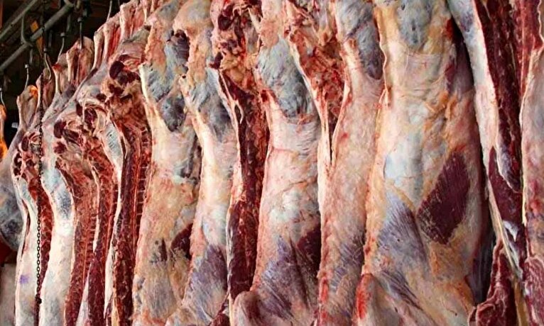 آغاز توزیع گوشت قرمز دولتی از این تاریخ / گوشت گرم قرمز ۶۰۰ هزارتومانی در راه است