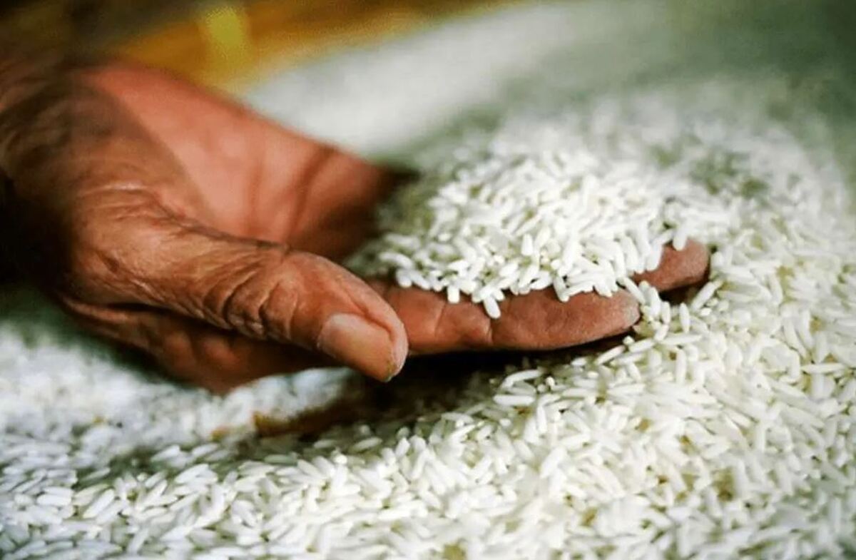 علت گرانی برنج در بازار چیست؟