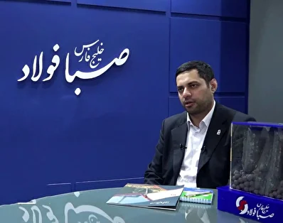 سهم ایران از بازار بریکت و آهن اسفنجی جهان