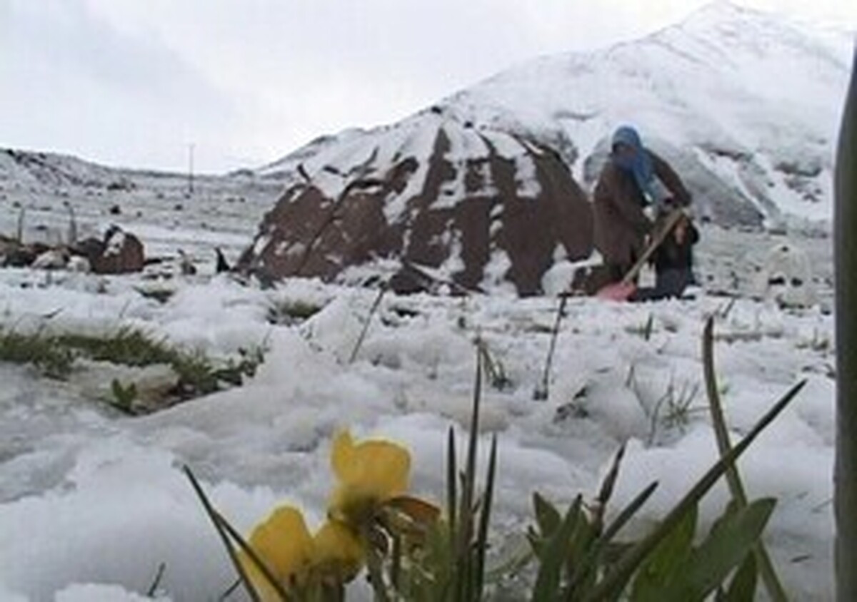 برف تابستانی در راه این استانهای ایران برف تابستانی در راه این استانهای ایران