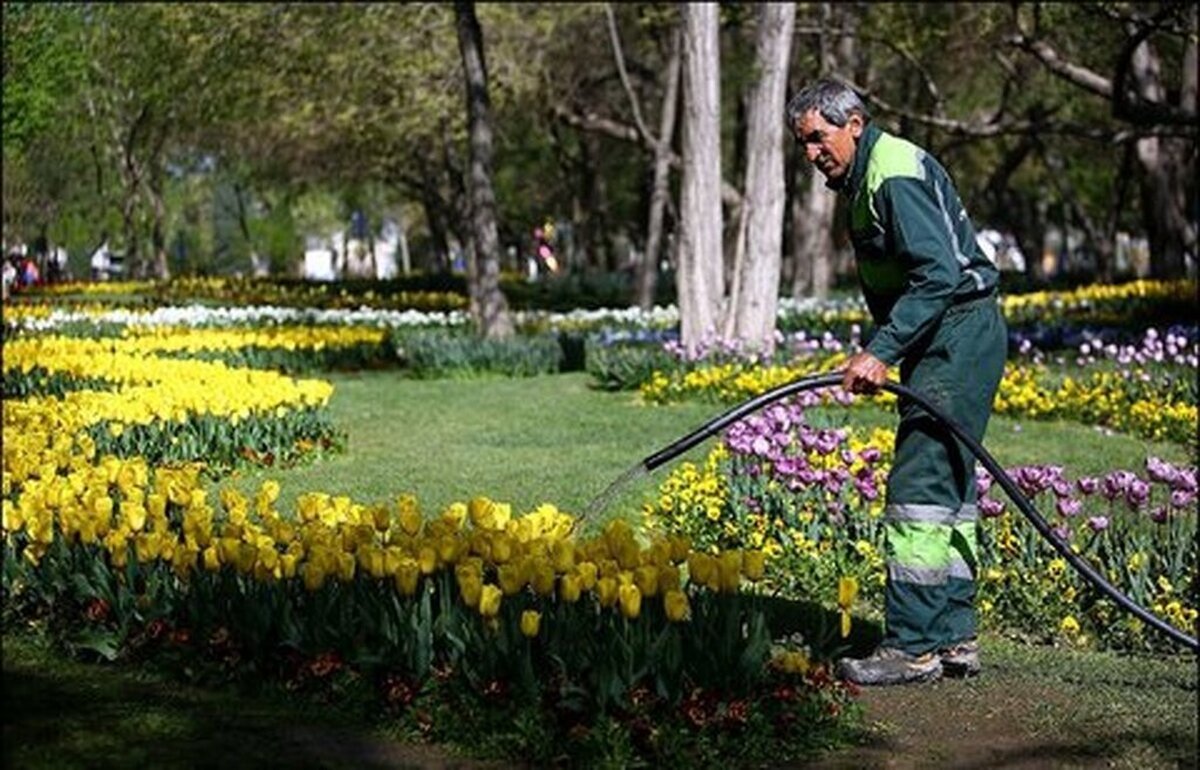 مردی با ادعای تامین آب برای ۲ میلیارد نفر به زاکانی پیوست+ عکس