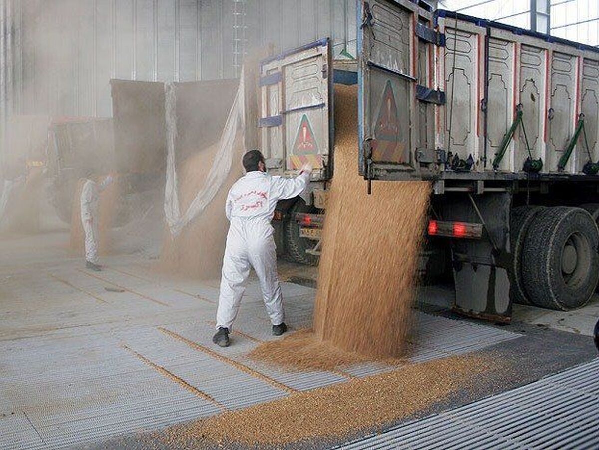 پشت پرده کاهش سرعت واردات کالا‌های اساسی