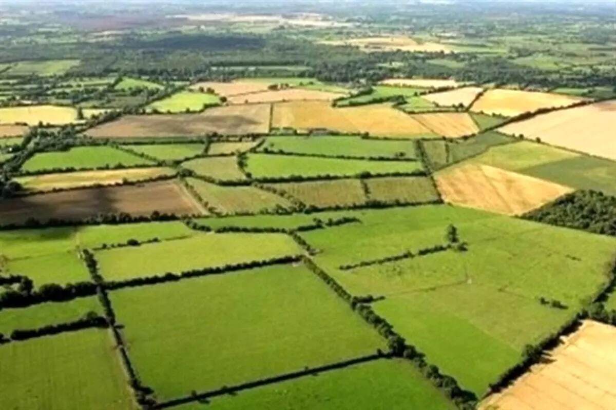 خبرخوش برای مالکان / آغاز صدور سند تک‌برگ برای اراضی زراعی و باغی