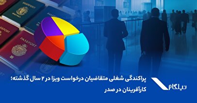 پراکندگی شغلی متقاضیان درخواست ویزا در ۲ سال گذشته؛ کارآفرینان در صدر