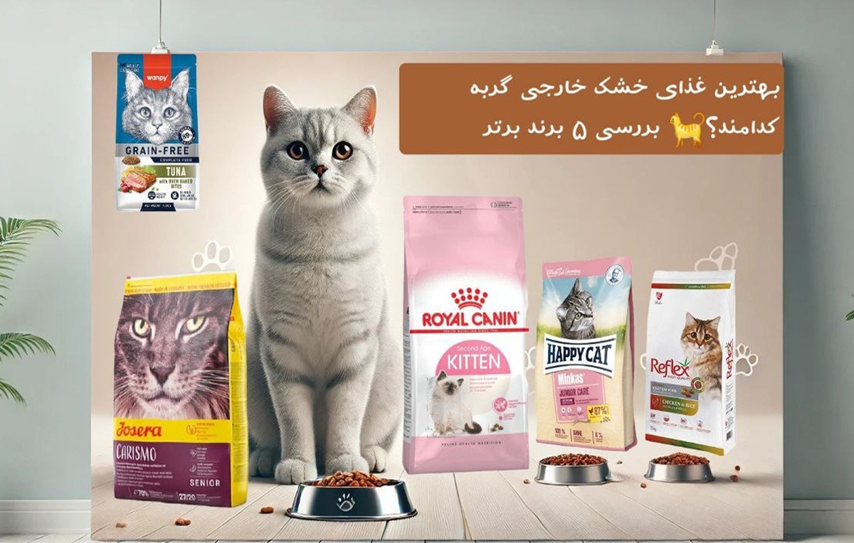 بهترین برند غذای خشک گربه خارجی کدام است؟ بررسی 5 برند برتر بهترین برند غذای خشک گربه خارجی کدام است؟ بررسی 5 برند برتر