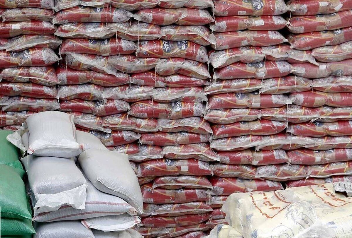 فروش گنجشک به جای قناری در بازار برنج! فروش گنجشک به جای قناری در بازار برنج!