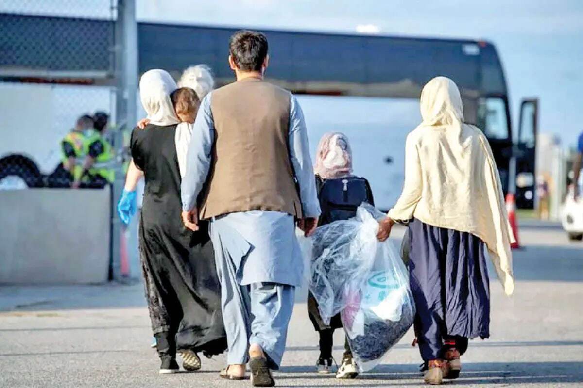 آغاز مرحله جدید اخراج افغانها از ایران در پاییز ۱۴۰۴ / استاندار تهران اتمام حجت کرد آغاز مرحله جدید اخراج افغانها از ایران در پاییز ۱۴۰۴ / استاندار تهران اتمام حجت کرد