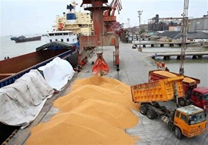 افشای تسلط یک گروه مافیایی بر بازار نهاده‌های دامی