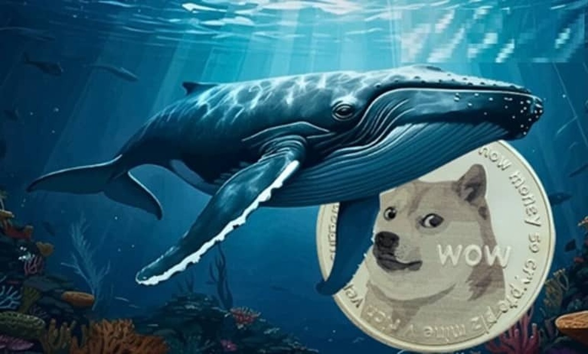خرید بیسایقه دوج کوین توسط نهنگها / ماجرا چیست؟ خرید بیسایقه دوج کوین توسط نهنگها / ماجرا چیست؟