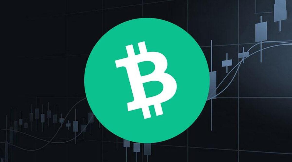 صعود دوباره بیت‌کوین کش/ زمان خرید BCH فرا رسیده؟+ نمودار