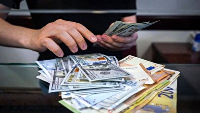 دولت به تک‌نرخی کردن ارز مکلف شد