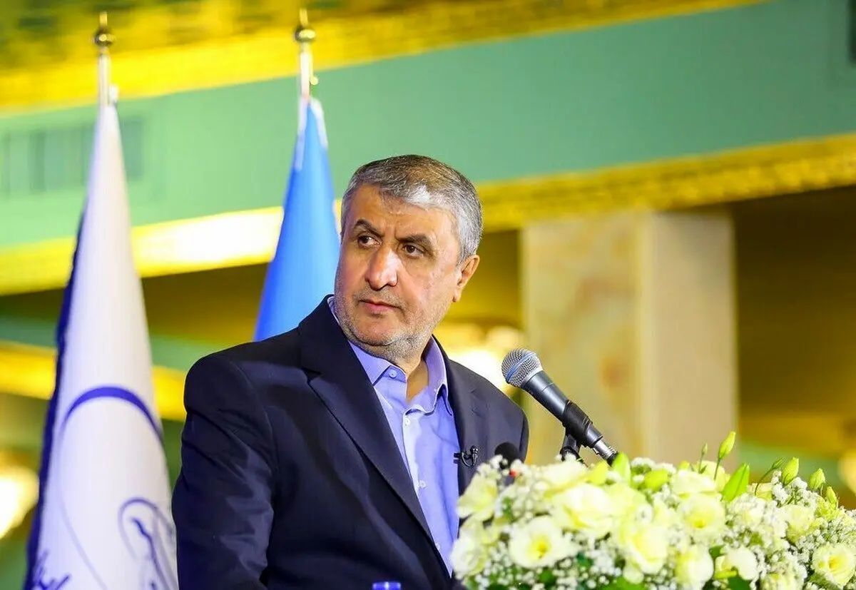 توضیح رئیس سازمان انرژی اتمی درمورد ماموریت بازرسان آژانس در ایران توضیح رئیس سازمان انرژی اتمی درمورد ماموریت بازرسان آژانس در ایران
