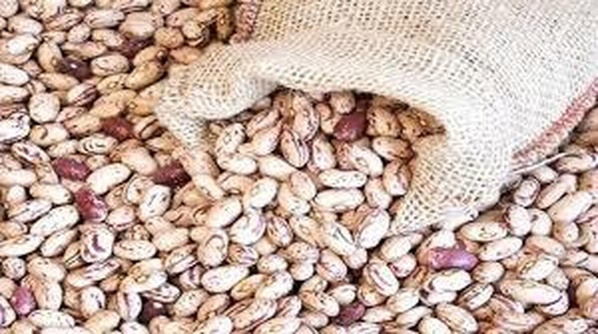 از وضعیت قیمت لوبیا چیتی چه خبر؟