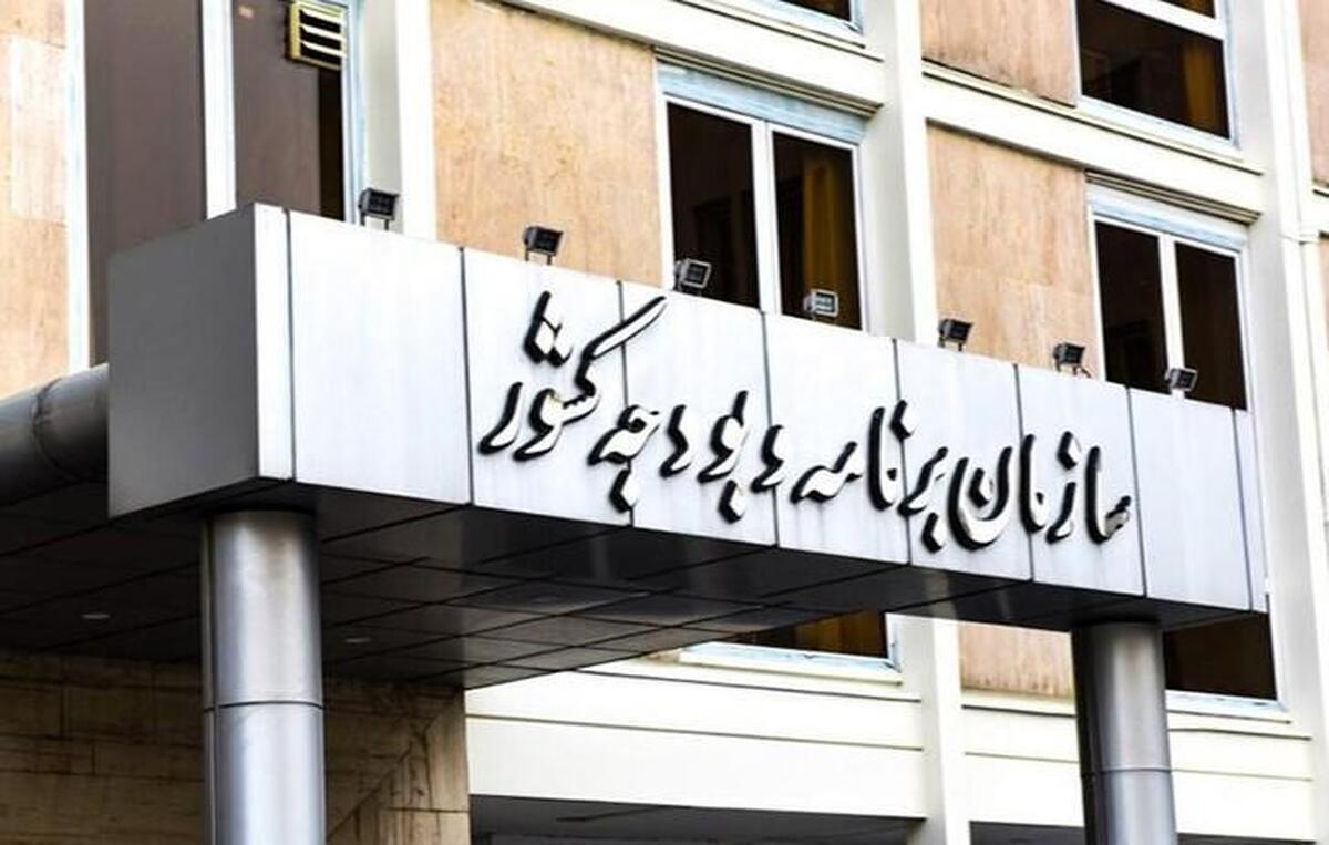 بازگشت سازمان برنامه به ریل صحیح اقتصادی با یک انتصاب درست