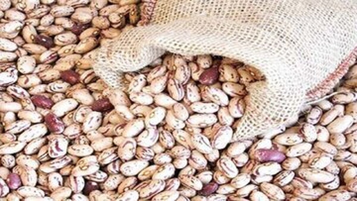 لوبیا چیتی هم قیمت گوشت شد/ وزیر جهاد: قیمت حبوبات منطقی است