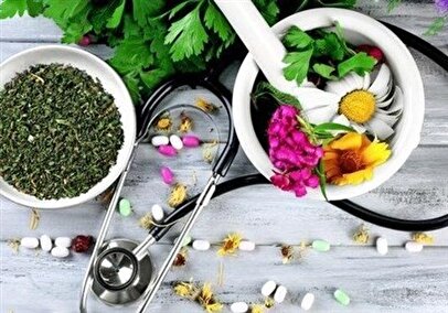 سند ملی گیاهان دارویی و طب سنتی زیر تیغ نظارت کمیسیون اصل ۹۰