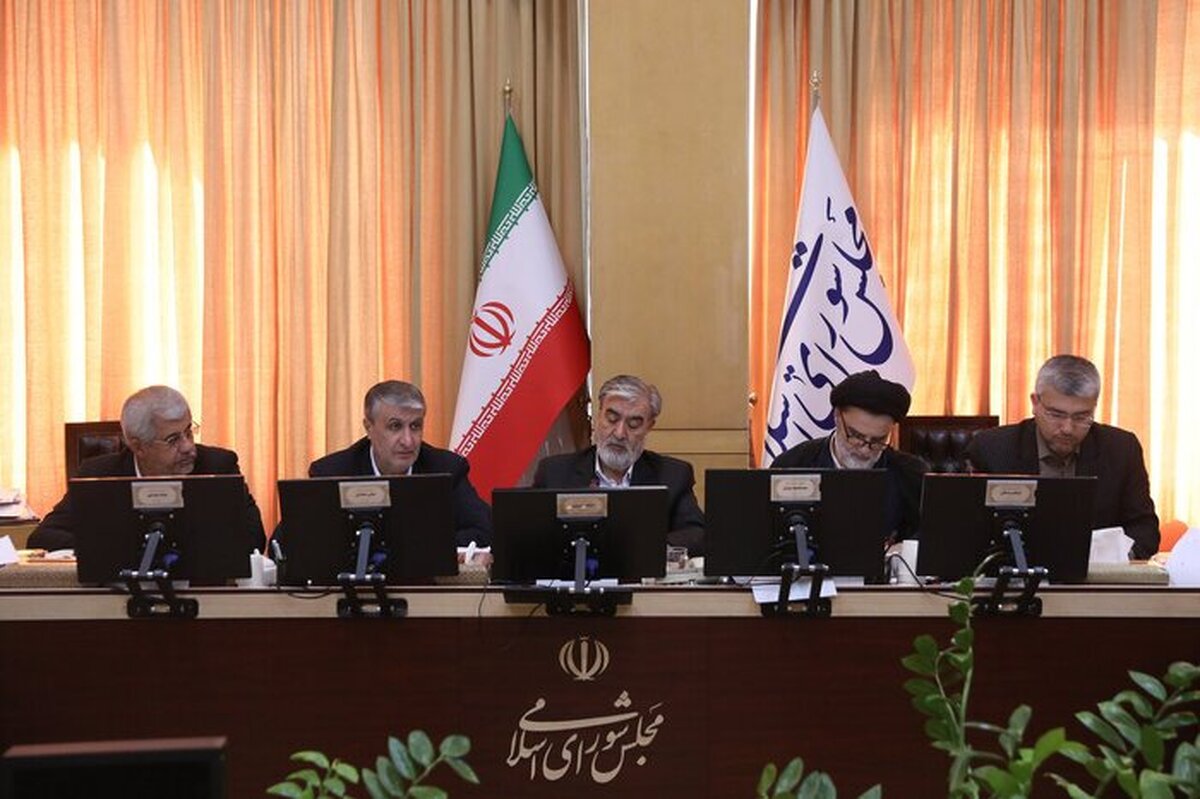 سخنگوی کمیسیون امنیت ملی: سازمان انرژی اتمی از وارد فاز صنعتی شد