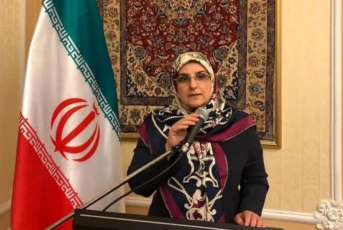 یک دیپلمات زن ایرانی عضو کمیته مشورتی شورای حقوق بشر شد