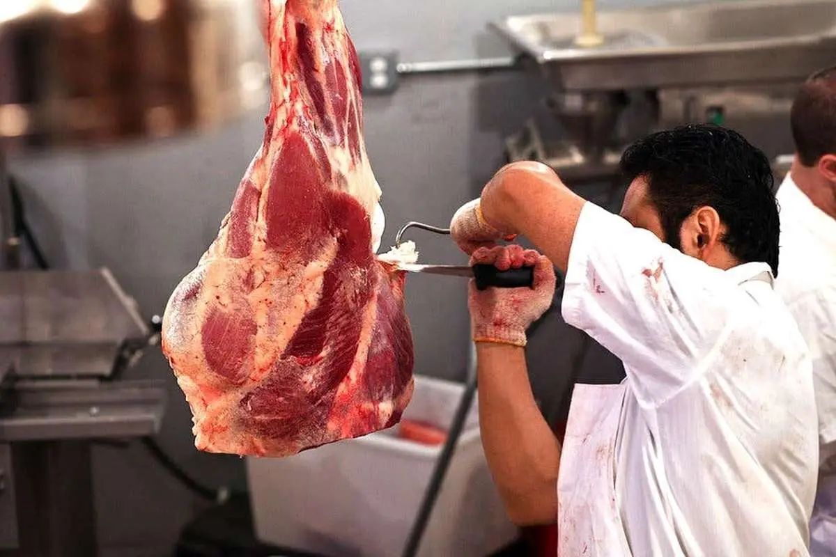توضیحات نماینده مجلس درباره ورود گوشتهای آلوده مغولستانی توضیحات نماینده مجلس درباره ورود گوشتهای آلوده مغولستانی
