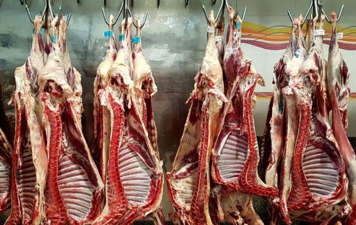 آغاز توزیع گوشت تنظیم بازار مهر ۱۴۰۴ / گوشت گرم دولتی را از کجا بخریم؟ آغاز توزیع گوشت تنظیم بازار مهر ۱۴۰۴ / گوشت گرم دولتی را از کجا بخریم؟