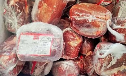آغاز توزیع گوشت‌های وارداتی/ قیمت گوشت به قبل از گرانی بازمی‌گردد؟