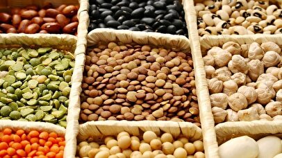 واردات حبوبات با تعرفه صفر/ قیمت‌ها پایین می‌آید؟