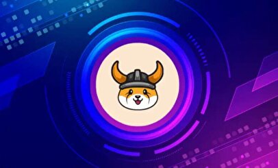 رشد قیمت فلوکی پس از پست ایلان ماسک/ فلوکی منفجر شد