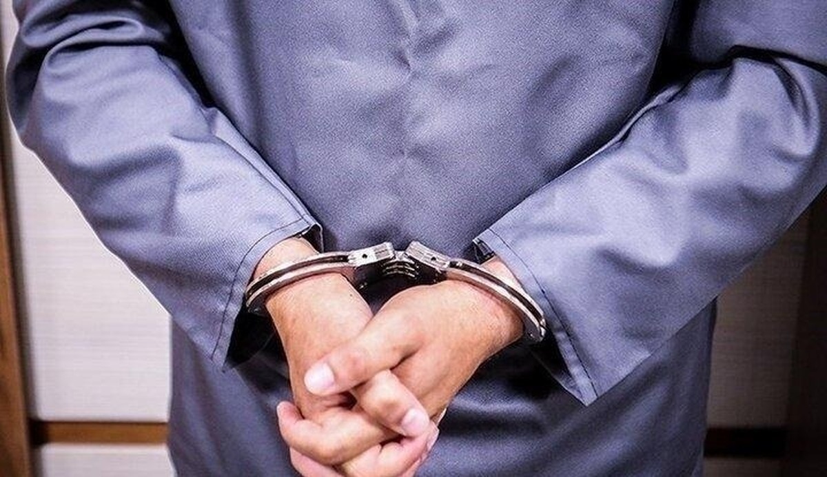 جزئیات بازداشت پژمان جمشیدی از زبان رئیس پلیس تهران
