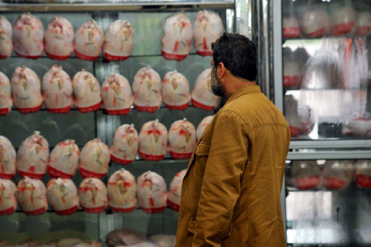 وضعیت بازار مرغ عجیب شد وضعیت بازار مرغ عجیب شد