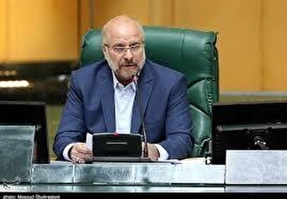 رئیس مجلس درباره اجرایی شدن اسنپ بک چه گفت؟+ فیلم