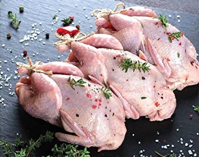 قیمت گوشت مرغ امروز ۶ مهر ماه ۱۴۰۴ / سینه و ران مرغ کیلویی چند شد؟ + جدول
