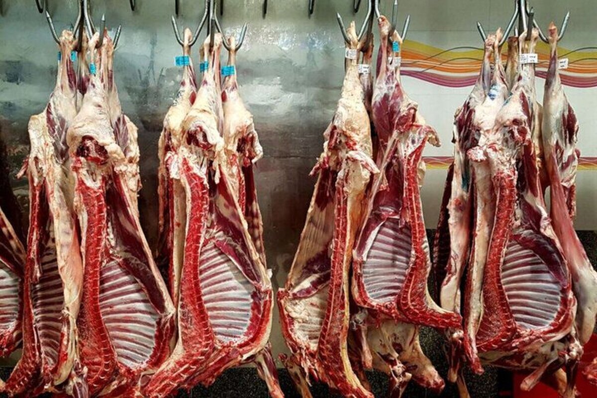 قیمت گوشت قرمز رکورد زد