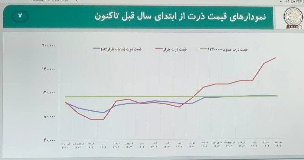 دلیل گرانی مرغ مشخص شد/ گرانی ادامه دارد؟+ جزئیات