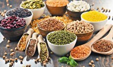 لیست قیمت انواع حبوبات مهر ۱۴۰۴ / لوبیا چیتی، نخود، عدس و لپه را کیلویی چند بخریم؟ + جدول