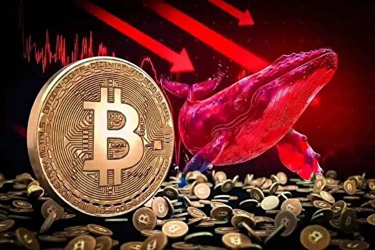 آخرین قیمت رمزارز‌ها در جهان دوشنبه ۷ مهر ۱۴۰۴