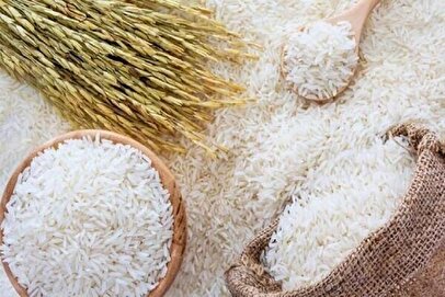 لیست قیمت انواع برنج هندی مهر ماه ۱۴۰۴ / برنج هندی درجه یک کیلویی چند شد؟ + جدول