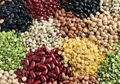 فنر تورم حبوبات پرید/ دو متهم گرانی حبوبات شناسایی شدند