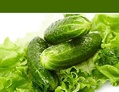 قیمت خیار و کاهو نجومی شد/ ماجرا چیست؟