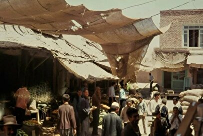 درباره بازار سوسکی تهران چقدر می‌دانید؟