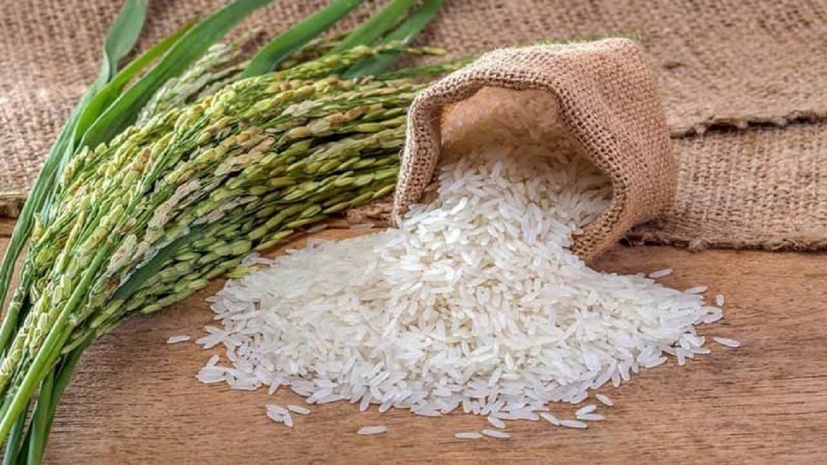قیمت برنج پاکستانی  ۱۰ مهر ماه ۱۴۰۴ / برنج پاکستانی درجه یک را کیلویی چند بخریم؟ + جدول