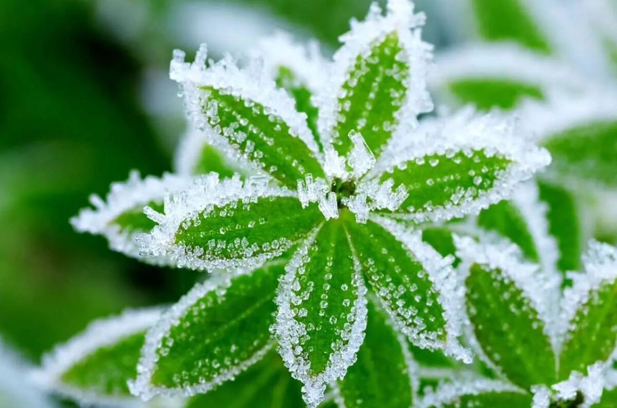 پیش‌بینی سرمای کم‌سابقه برای ۱۳ استان کشور