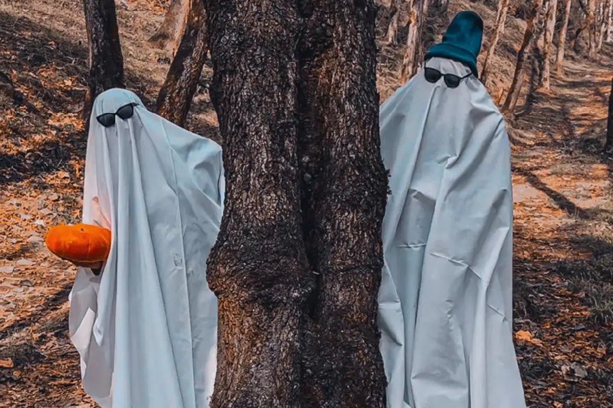 هالوین لاکچری در جنگل های ایران با قیمت نجومی هالوین لاکچری در جنگل های ایران با قیمت نجومی