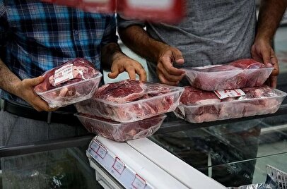 حذف گوشت از سفره خانوار / مردم توان خرید گوشت تنظیم بازار را هم ندارند