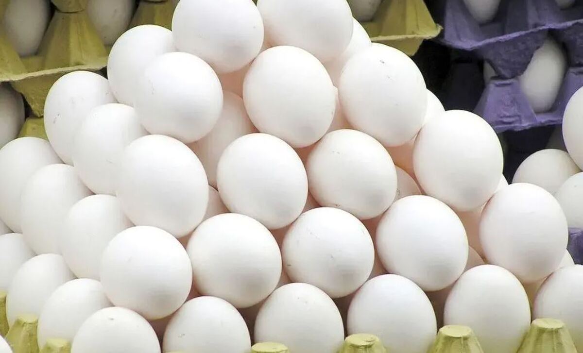 قیمت تخم‌مرغ اعلام شد / بالاتر از این قیمت نخرید!