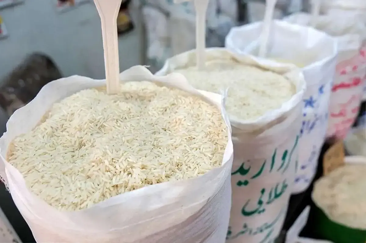 قیمت برنج افسار پاره کرد؛ بازار در شوک گرانی ناگهانی