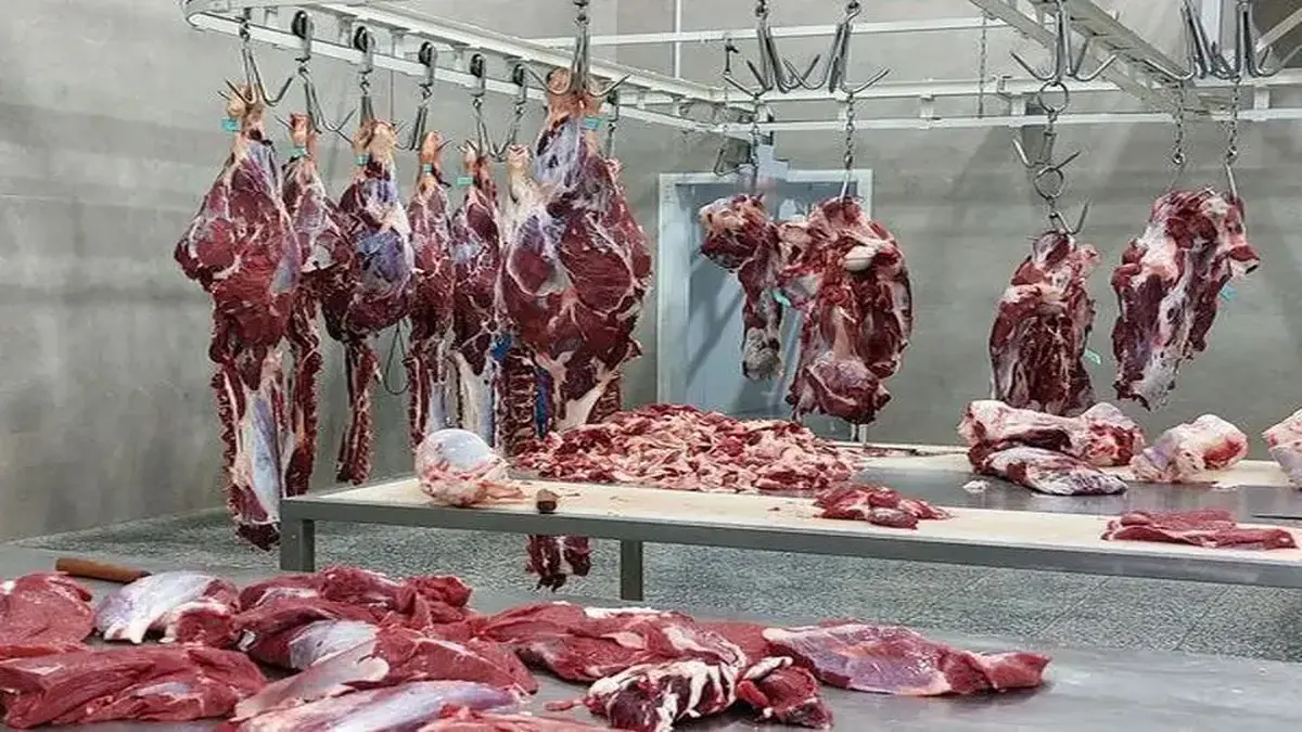 خبر جدید از قیمت گوشت تنظیم بازار/ وعده ارزانی یا آغاز موج گرانی تازه؟