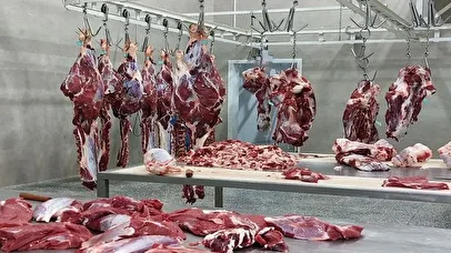 خبر جدید از قیمت گوشت تنظیم بازار/ وعده ارزانی یا آغاز موج گرانی تازه؟