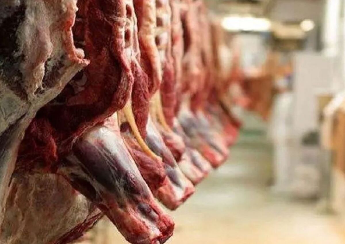 ردپای گوشت‌های وارداتی در تب برفکی+ جزئیات