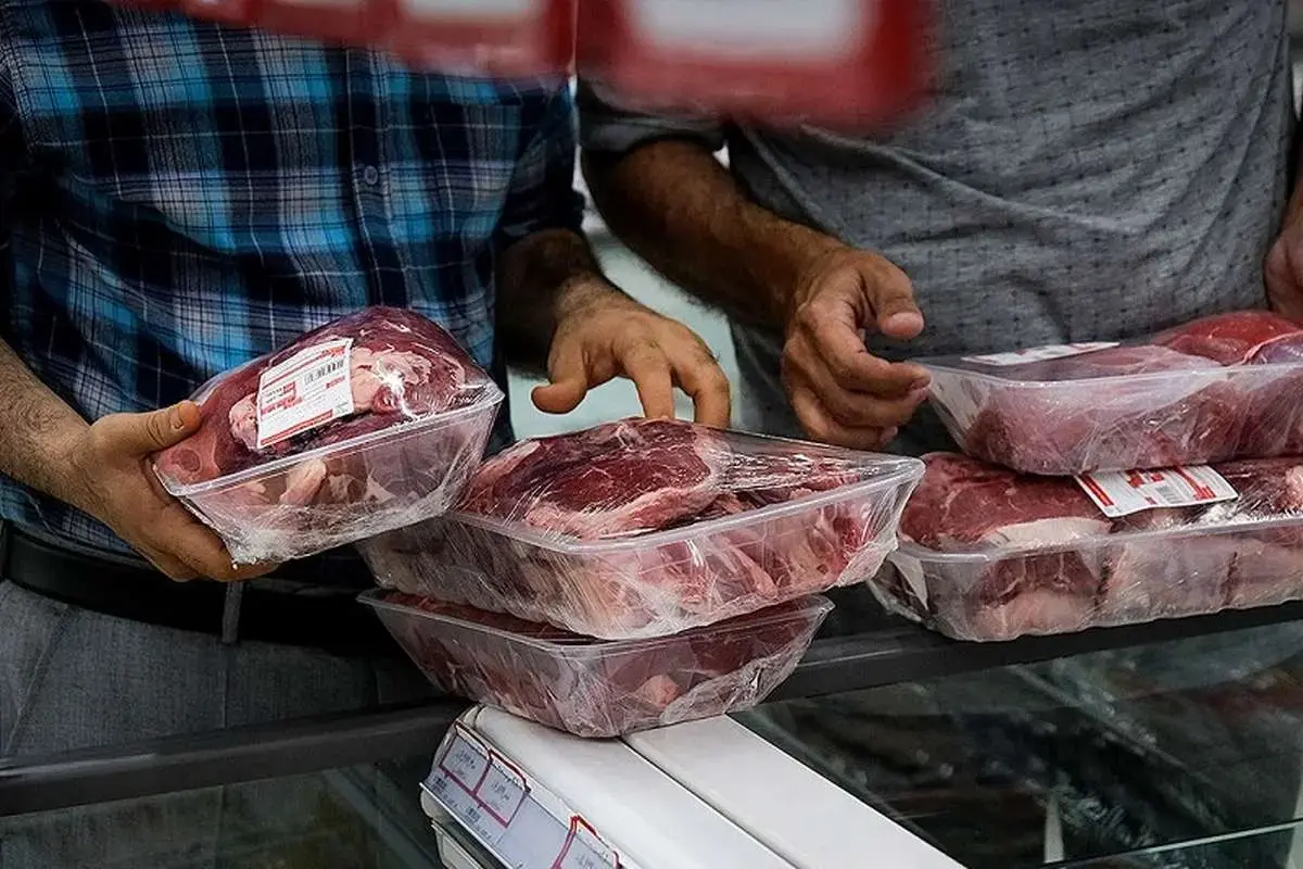 جزئیات جدید از واردات گوشت قرمز/ گوشت تنظیم بازار به کیلویی چند تومان رسید؟